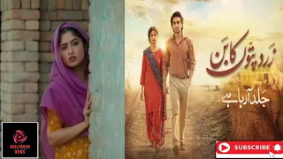 Zard Patton Ka Bunn Teaser: Sajal Aly & Hamza Sohail Shine in this Intriguing Preview