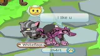 playing animal jam for the first time in my life