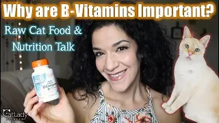 B Vitamins & Cats: Why are they important (and why do you add supplements to homemade raw cat food)?