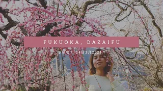 Путешествие по Дазайфу, г. Фукуока, Япония. Цветение сливы, история храма Тенмангу. Dazaifu, Fukuoka