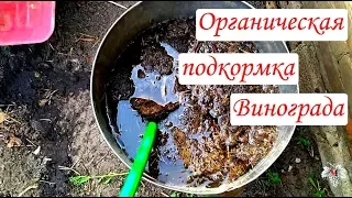 Органическая подкормка винограда