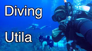 Learn To SCUBA Dive In Utila | Travel Vlog Ep.71