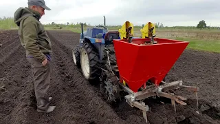 Весна в селі, розсада помідорчиків, садіння картоплі. Наше рідне Полісся