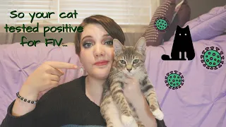 FIV IN CATS // Is a Positive Test a Death Sentence?