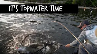 How To Produce More Topwater Strikes!!!