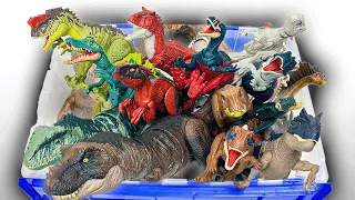 Unboxing HUGE Dominion vs. Camp Cretaceous Carnivores Collection | T-Rex, Megaraptor and More!