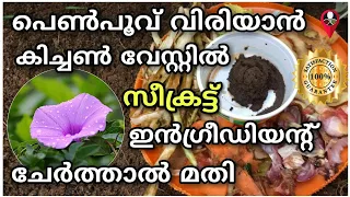 വീട്ടു കൃഷിക്ക് അറിഞ്ഞിരിക്കണം | Flower growing krishi tips in malayalam | Prs kitchen krishi