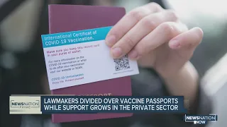 Lawmakers divided over vaccine passports while support grows in the private sector