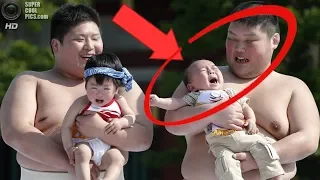 Зачем борцы сумо доводят младенцев до слез?