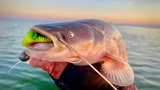 Ловля ХИЩНОЙ РЫБЫ на водохранилище!