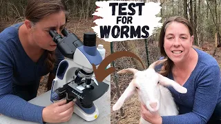 How To Check Your Goats Or Sheep For Worms | How To Run A Fecal Test For Parasites