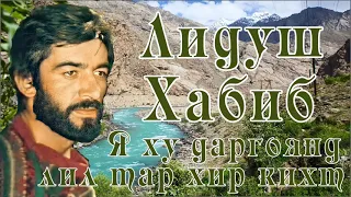 Лидуш Хабиб // Я ху даргоянд лил тар хир кихт  //