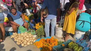 TEMPORADA DE JICAMAS (YAM BEAN) EN LOS MERCADOS DE GUERRERO, MÉXICO. 😀🧄🧅🎃