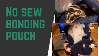 DIY NO SEW BRA BONDING POUCH FOR SUGAR GLIDERS| MEET MY GLIDERS| IS IT SUGAR GLIDER APPROVED!?!?!?