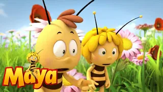 The Queen's messenger - Episode 3 - Maya the Bee