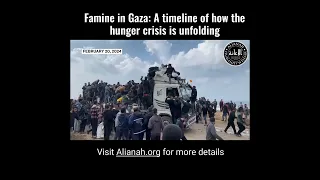 Famine in Gaza  A timeline of how the hunger crisis is unfolding #shorts #gaza #food