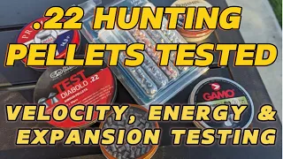 Best .22 Hunting Pellets of 2024 - The Ultimate Hunting Pellet Test, Velocity, Energy, & Expansion