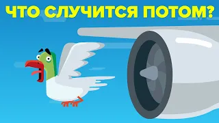 Что происходит, когда птица попадает в двигатель самолета?