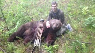 Traditional Archery Cinnamon Bear Hunt