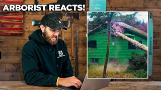 Professional Arborist Reacts to TREE CUTTING FAILS!