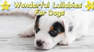 Calm Relax Soothe Your Puppy Effectively Within 10 Minutes ♫ Music For Dogs ♥ Lullaby For Animals