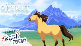 This Is Where I Belong🐴 | Spirit: Stallion of the Cimarron| Movie Moments | Mega Moments