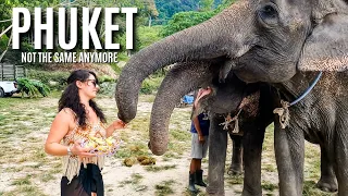 Why Everyone Comes to PHUKET Thailand