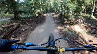 New Jump Line & Trail Tuneups at Duthie