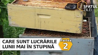 Care sunt lucrările lunii Mai în stupină - partea 2