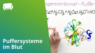 Puffersysteme im Blut | Chemie | Chemie des Menschen