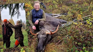 Älgjakt i Bastfallet 2022 - Husbilen som jaktstuga - Fin jakt trots minskad tilldelning #moosehunt