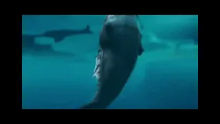 lucius (the dolphin story of a dreamer) vs cretaceous