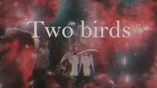 Two birds - Aziraphale and Crowley - Good Omens Season 2 edit