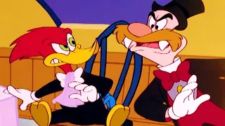 Woody Wants That Seat! | Woody Woodpecker