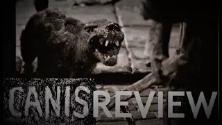 Canis Short Film Review