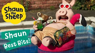 Celebrity Pig | Shaun the Sheep Best Bits Season 6