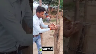 Kids👶vs Normal 👦 vs Legends 🤴 happy diwali #shorts #funny #trending #viralvideo