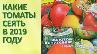 Обзор семян томатов 2019