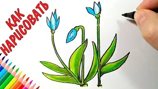 How to draw snowdrops, simple drawings