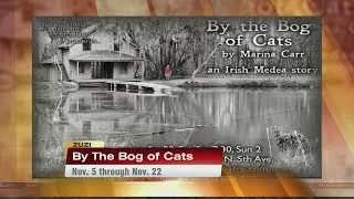 Something Something Theatre - By the Bog Of Cats