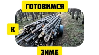 заготовка дров / firewood harvesting