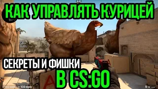 КАК УПРАВЛЯТЬ КУРИЦЕЙ В КСГО? СЕКРЕТЫ И ФИШКИ CSGO. ПОЛНЫЙ ГАЙД ПО КУРИЦАМ