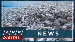 PH Coast Guard confirms damage in West Philippine Sea areas frequented by Chinese vessels | ANC