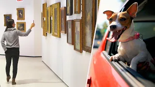 Woof! Museum of the Dog Returns to NYC