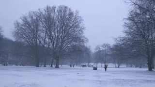 Berlin Snowstorm Walk | Feb 7 | Winter 2021 |  Berlin Mitte | Germany 🇩🇪