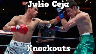 Julio Ceja - Highlights / Knockouts