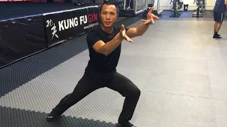 Beijing Chen Style Tai Chi at Kung Fu Gym, Auckland, New Zealand