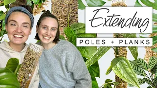 Extending Plant's Moss Poles + Planks 🌱 Plant Chores and Chat With @GoodGrowing 💚