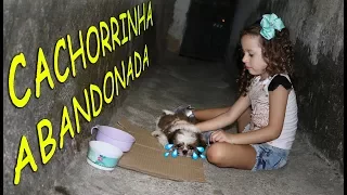 CACHORRINHA ABANDONADA 01 - MAMÃE DEIXA EU LEVA PARA CASA?