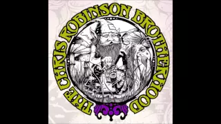 Chris Robinson Brotherhood - A Hard Rain's A-Gonna Fall - Sept. 2, 2014 Ann Arbor, MI